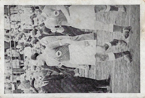 Hamkers Sportdienst Hamker’s Sport Dienst Hamker Serie 3(III)-Bild 40